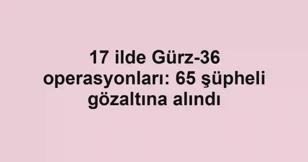 17 ilde Gürz-36 operasyonları: 65 şüpheli gözaltına alındı
