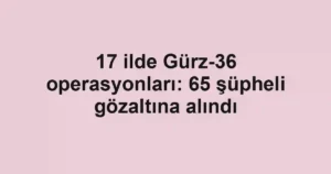 17 ilde Gürz-36 operasyonları: 65 şüpheli gözaltına alındı
