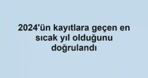 2024'ün kayıtlara geçen en sıcak yıl olduğunu doğrulandı