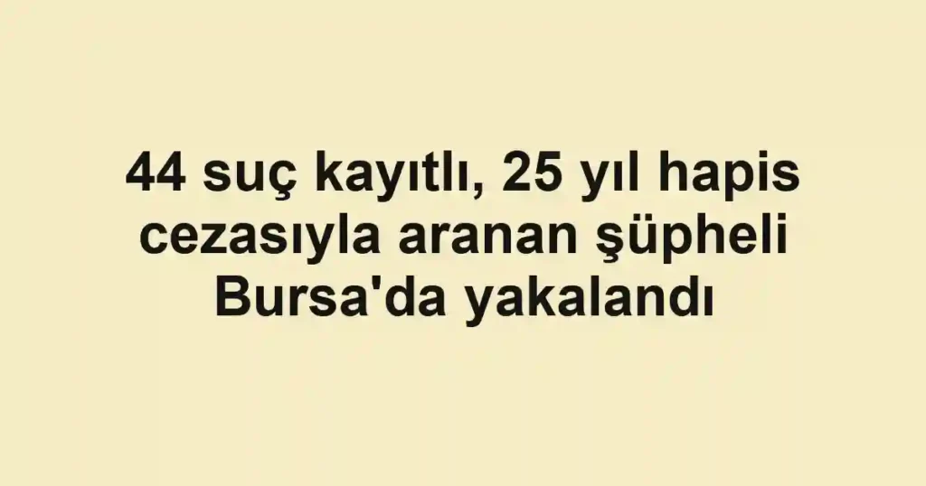 44 suç kayıtlı, 25 yıl hapis cezasıyla aranan şüpheli Bursa'da yakalandı