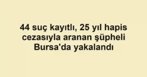 44 suç kayıtlı, 25 yıl hapis cezasıyla aranan şüpheli Bursa'da yakalandı