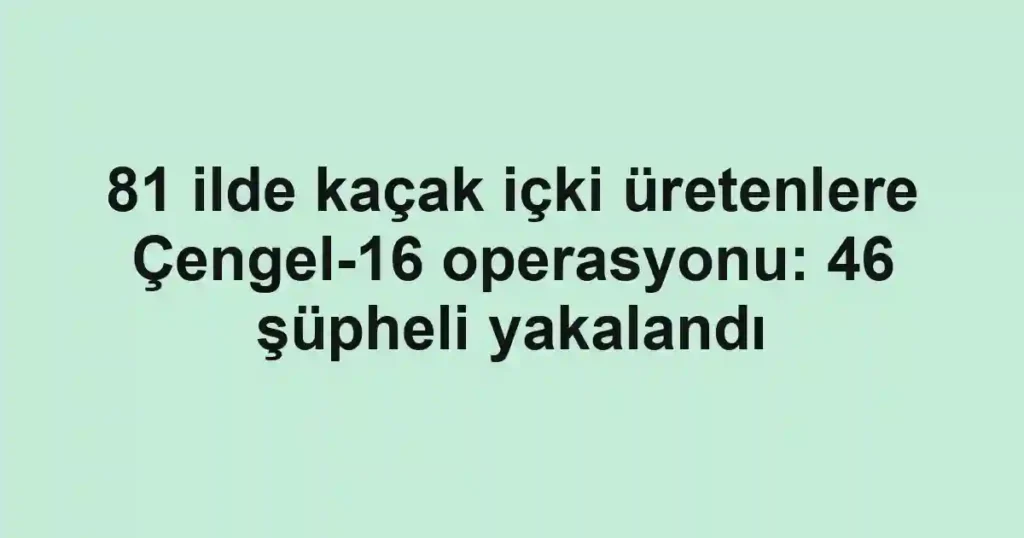 81 ilde kaçak içki üretenlere Çengel-16 operasyonu: 46 şüpheli yakalandı