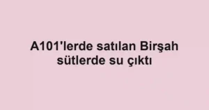A101'lerde satılan Birşah sütlerde su çıktı