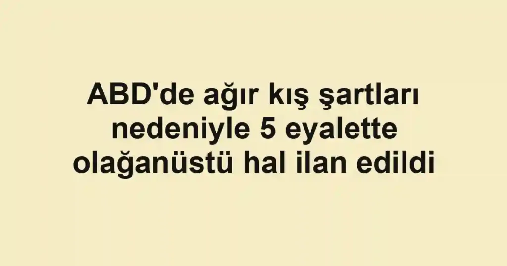 ABD'de ağır kış şartları nedeniyle 5 eyalette olağanüstü hal ilan edildi