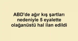 ABD'de ağır kış şartları nedeniyle 5 eyalette olağanüstü hal ilan edildi