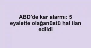 ABD'de kar alarmı: 5 eyalette olağanüstü hal ilan edildi