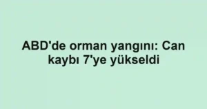 ABD'de orman yangını: Can kaybı 7'ye yükseldi