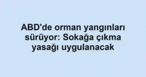 ABD'de orman yangınları sürüyor: Sokağa çıkma yasağı uygulanacak