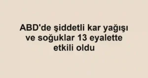 ABD'de şiddetli kar yağışı ve soğuklar 13 eyalette etkili oldu