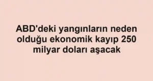 ABD'deki yangınların neden olduğu ekonomik kayıp 250 milyar doları aşacak