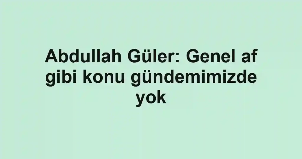 Abdullah Güler: Genel af gibi konu gündemimizde yok