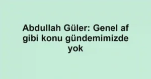 Abdullah Güler: Genel af gibi konu gündemimizde yok