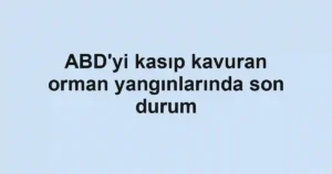 ABD'yi kasıp kavuran orman yangınlarında son durum