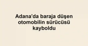 Adana'da baraja düşen otomobilin sürücüsü kayboldu