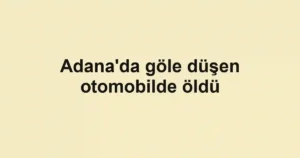 Adana'da göle düşen otomobilde öldü