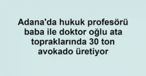 Adana'da hukuk profesörü baba ile doktor oğlu ata topraklarında 30 ton avokado üretiyor