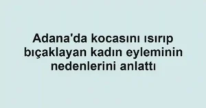 Adana'da kocasını ısırıp bıçaklayan kadın eyleminin nedenlerini anlattı