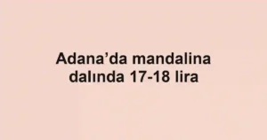 Adana’da mandalina dalında 17-18 lira