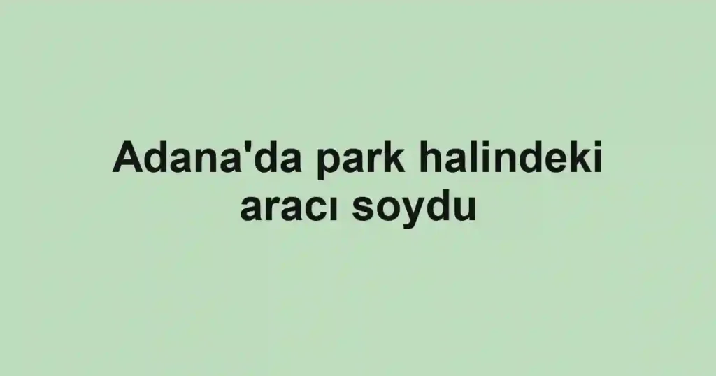 Adana'da park halindeki aracı soydu