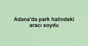 Adana'da park halindeki aracı soydu
