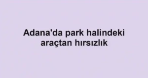 Adana'da park halindeki araçtan hırsızlık