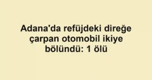 Adana'da refüjdeki direğe çarpan otomobil ikiye bölündü: 1 ölü