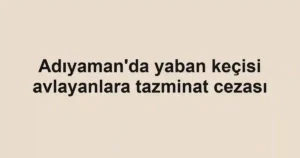 Adıyaman'da yaban keçisi avlayanlara tazminat cezası