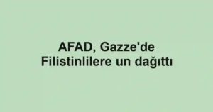 AFAD, Gazze'de Filistinlilere un dağıttı