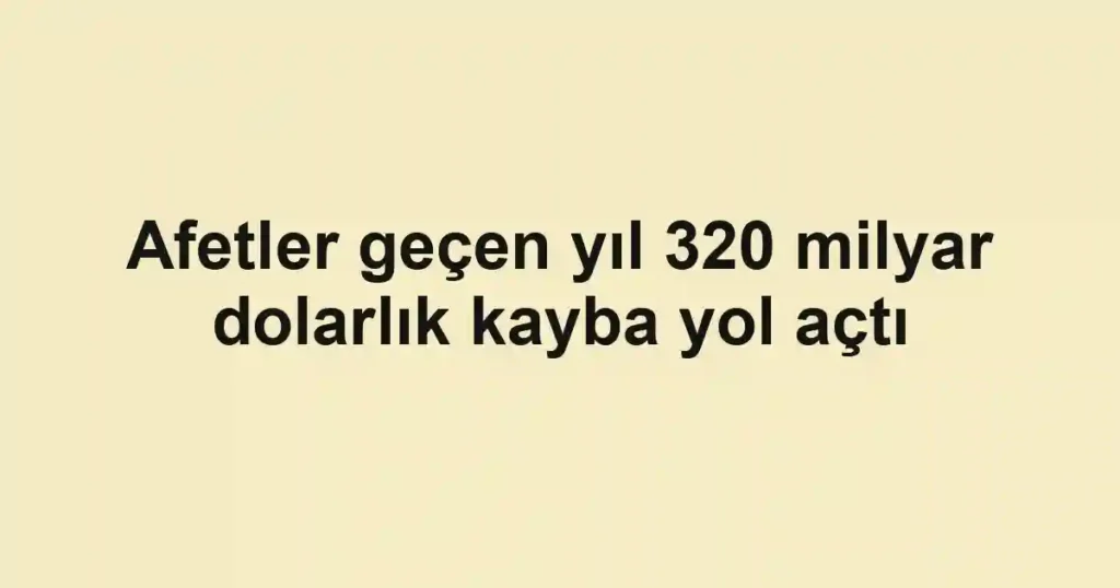 Afetler geçen yıl 320 milyar dolarlık kayba yol açtı