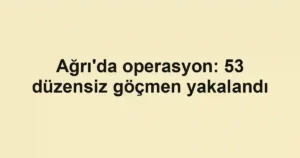 Ağrı'da operasyon: 53 düzensiz göçmen yakalandı