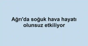 Ağrı'da soğuk hava hayatı olunsuz etkiliyor