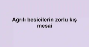 Ağrılı besicilerin zorlu kış mesai