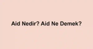 Aid Nedir? Aid Ne Demek?