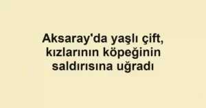 Aksaray'da yaşlı çift, kızlarının köpeğinin saldırısına uğradı