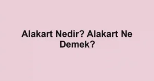 Alakart Nedir? Alakart Ne Demek?