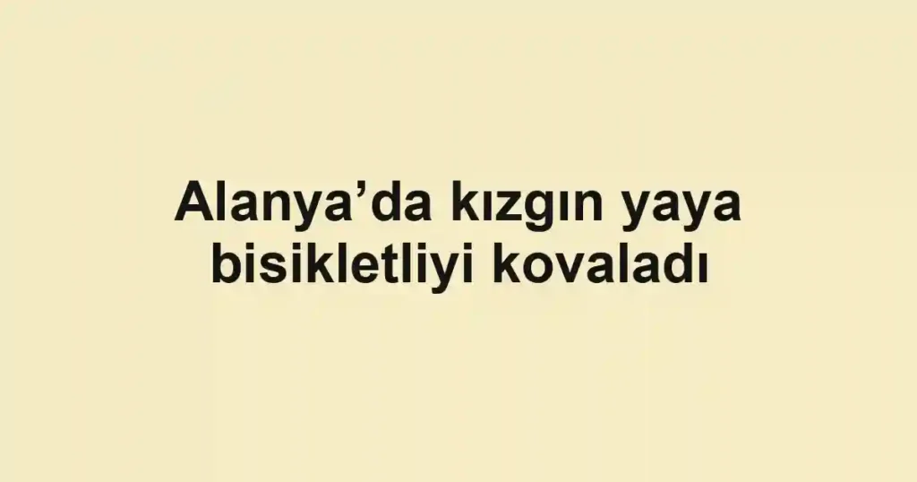 Alanya’da kızgın yaya bisikletliyi kovaladı
