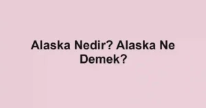 Alaska Nedir? Alaska Ne Demek?