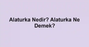 Alaturka Nedir? Alaturka Ne Demek?
