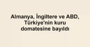 Almanya, İngiltere ve ABD, Türkiye'nin kuru domatesine bayıldı