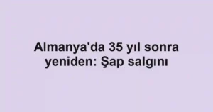 Almanya'da 35 yıl sonra yeniden: Şap salgını
