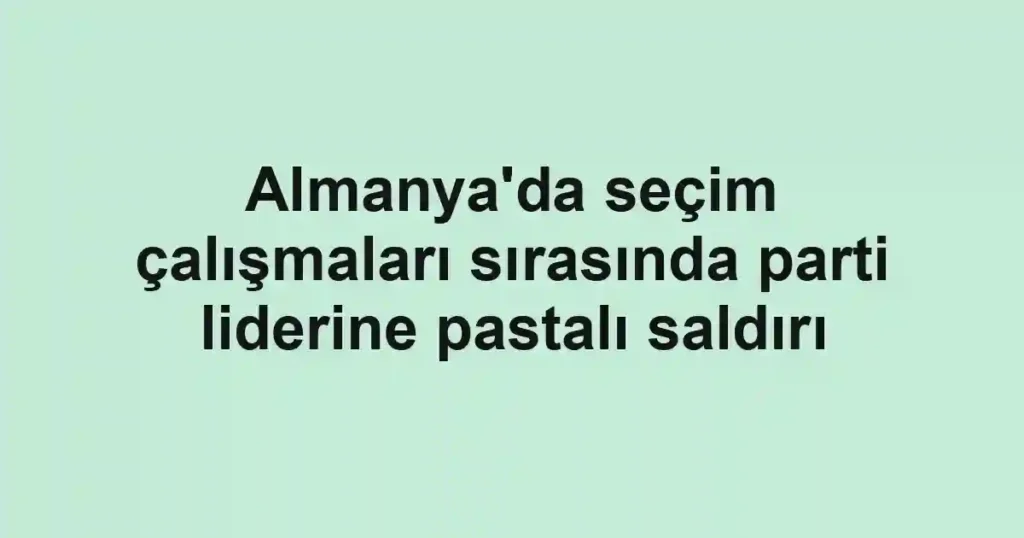 Almanya'da seçim çalışmaları sırasında parti liderine pastalı saldırı