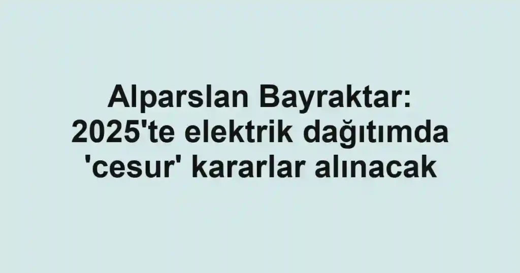 Alparslan Bayraktar: 2025'te elektrik dağıtımda 'cesur' kararlar alınacak