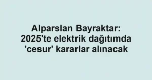 Alparslan Bayraktar: 2025'te elektrik dağıtımda 'cesur' kararlar alınacak