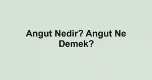 Angut Nedir? Angut Ne Demek?
