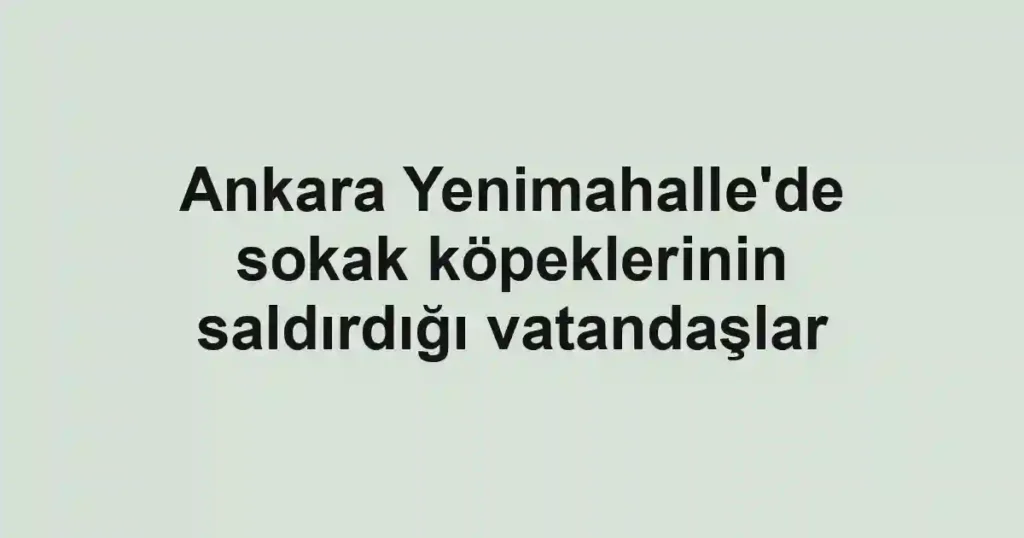Ankara Yenimahalle'de sokak köpeklerinin saldırdığı vatandaşlar