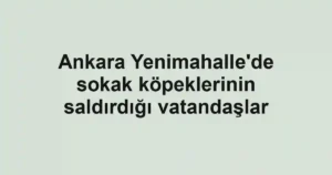 Ankara Yenimahalle'de sokak köpeklerinin saldırdığı vatandaşlar
