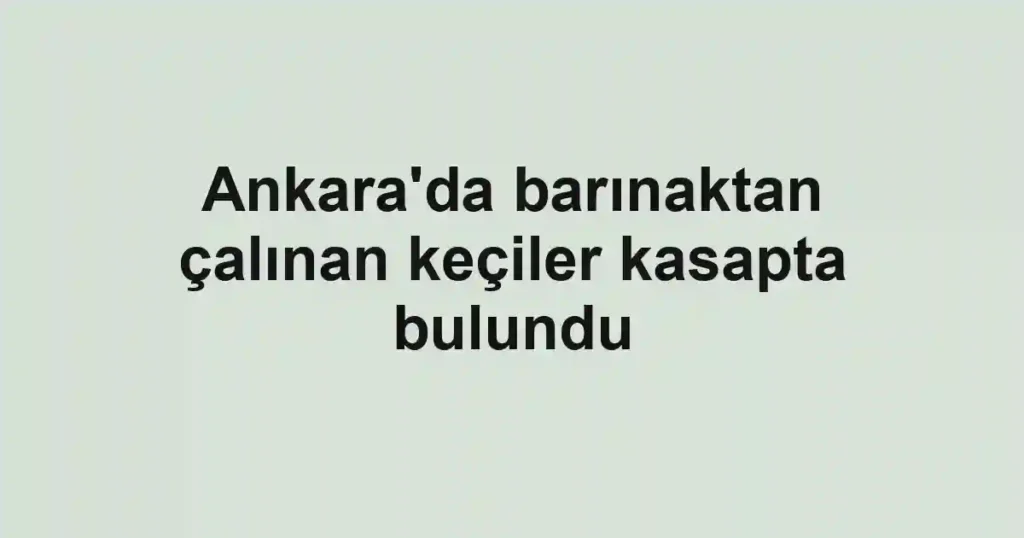 Ankara'da barınaktan çalınan keçiler kasapta bulundu