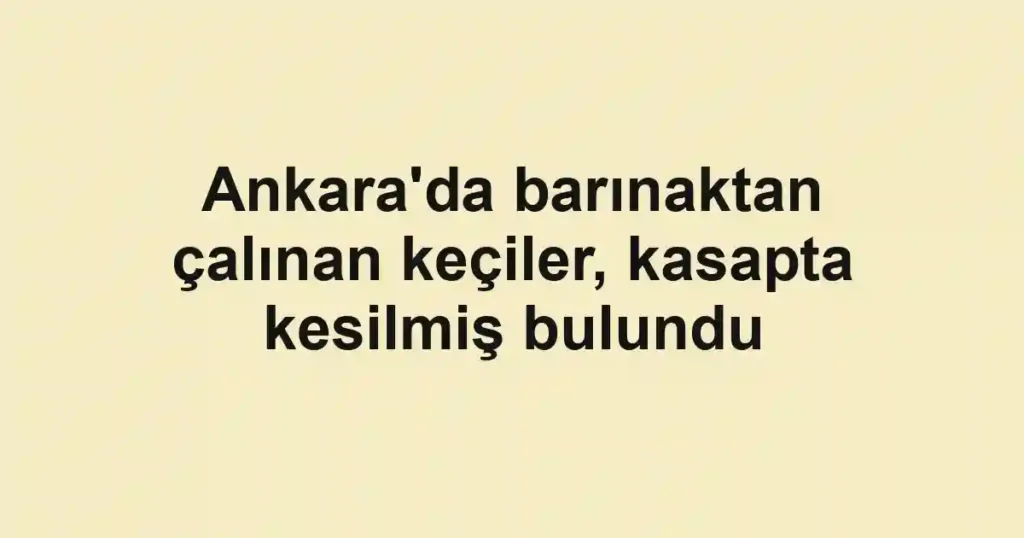 Ankara'da barınaktan çalınan keçiler, kasapta kesilmiş bulundu