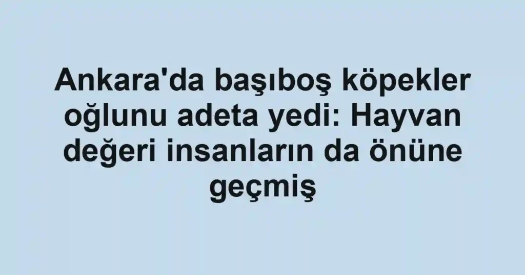 Ankara'da başıboş köpekler oğlunu adeta yedi: Hayvan değeri insanların da önüne geçmiş