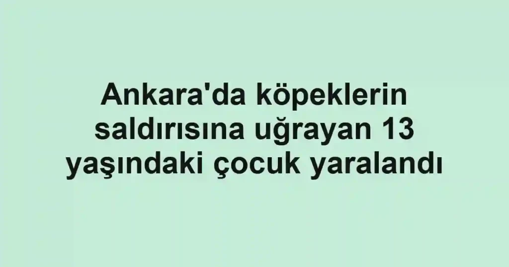 Ankara'da köpeklerin saldırısına uğrayan 13 yaşındaki çocuk yaralandı